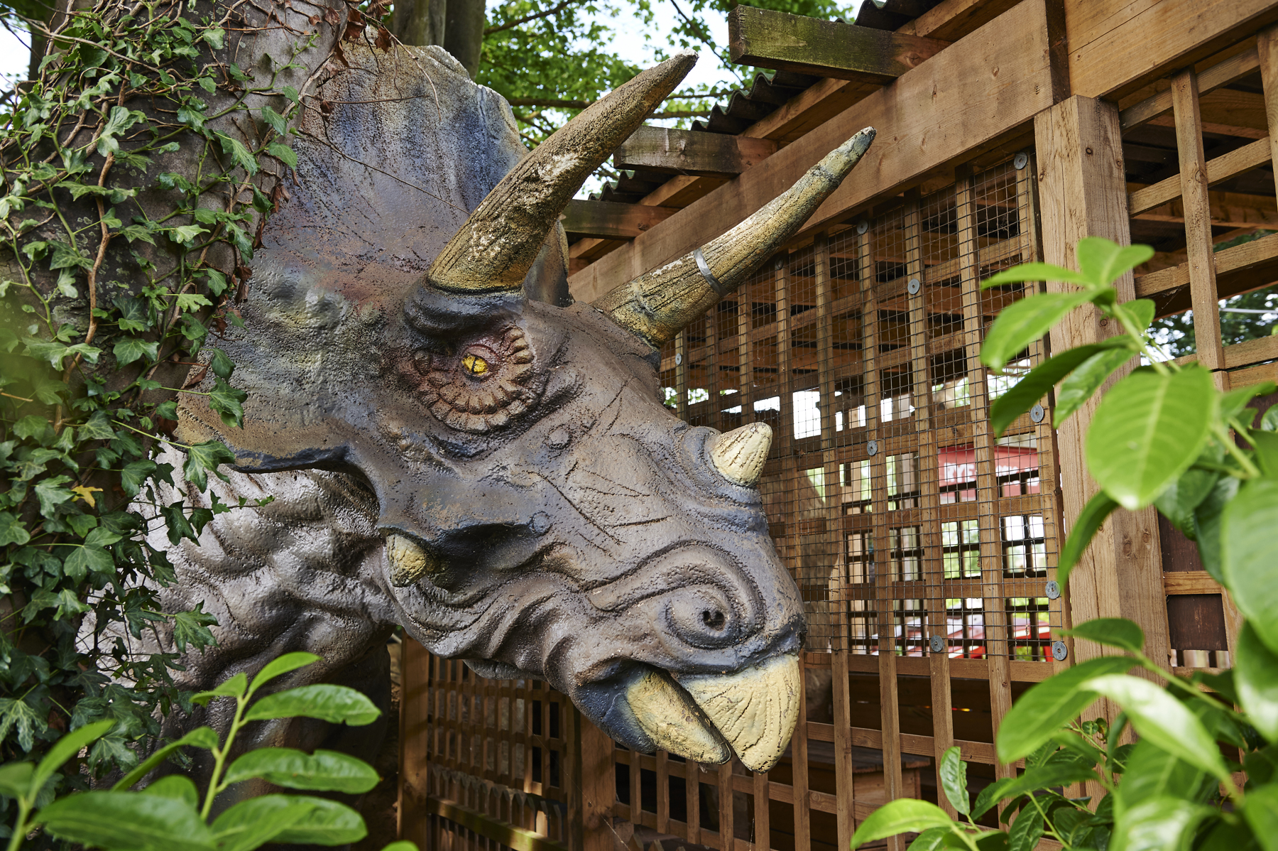 ryehouse-laser-dinopark3