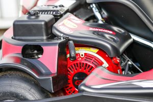 Rye House karting Harrow - Our Honda GX160 kart engines