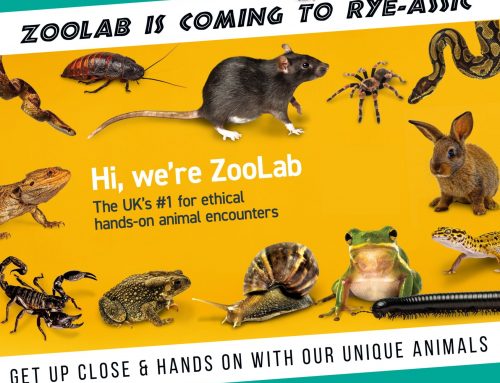 ZooLab is coming…